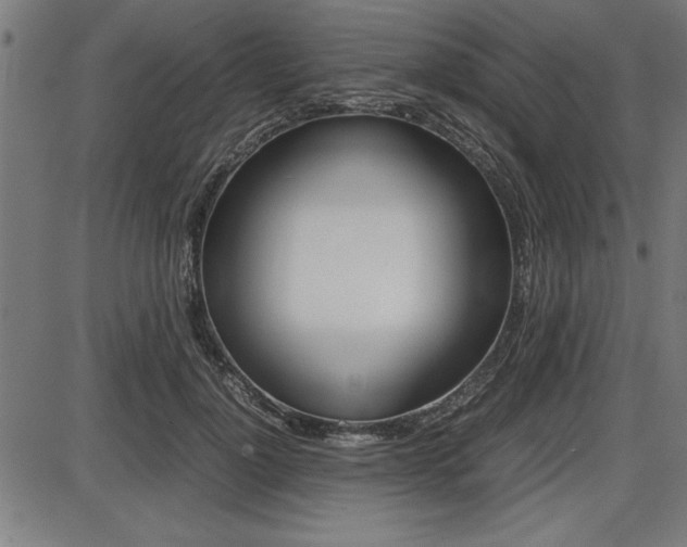 X0000087670748200705040725