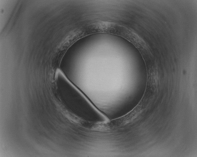 X0000087670750200705040725