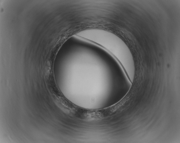 X0000087670752200705040725