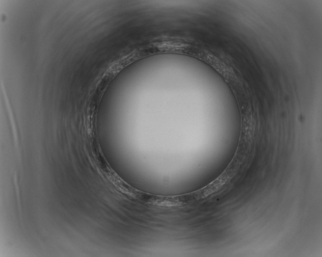 X0000087670755200705040725