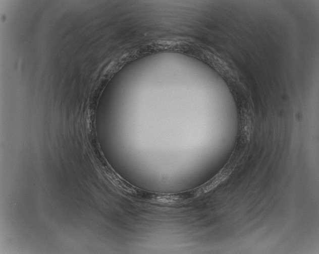 X0000087670758200705040725