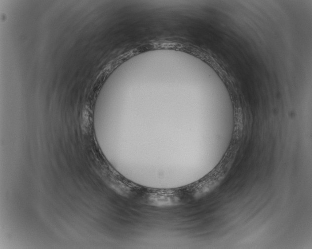 X0000087670761200705040725