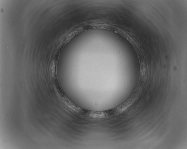 X0000087670767200705040725