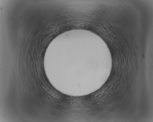 X0000087670769200705040724
