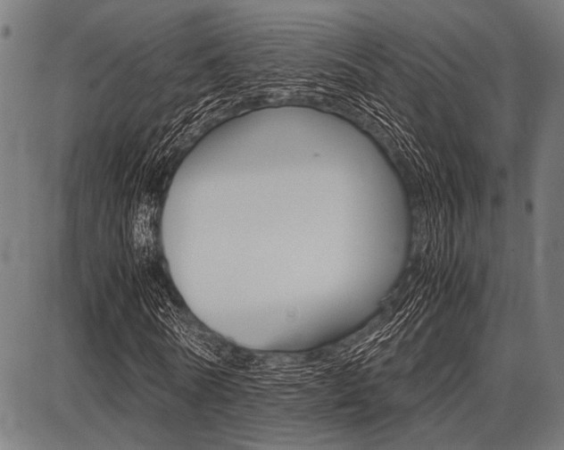 X0000087670770200705040724