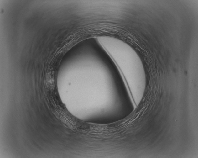 X0000087670771200705040724