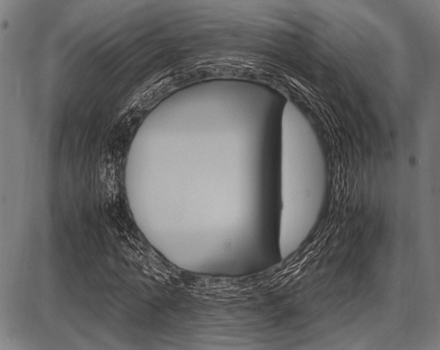 X0000087670774200705040724