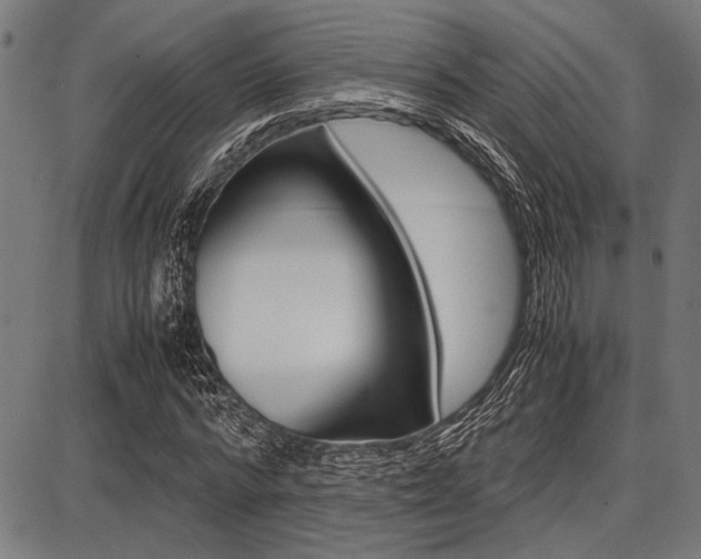 X0000087670776200705040724