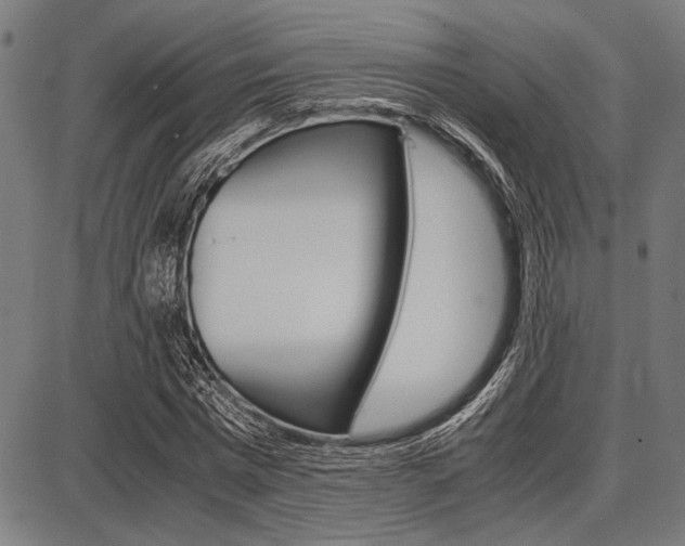 X0000087670777200705040724