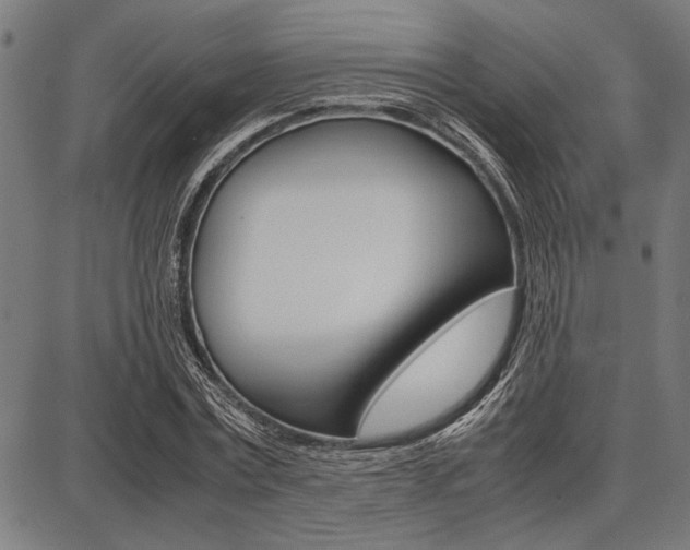 X0000087670779200705040724