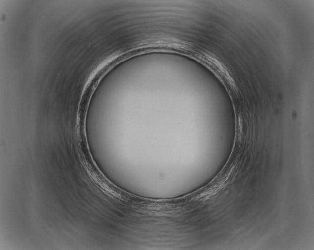 X0000087670780200705040724
