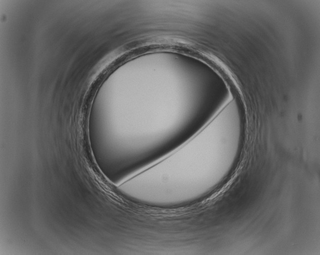 X0000087670783200705040724