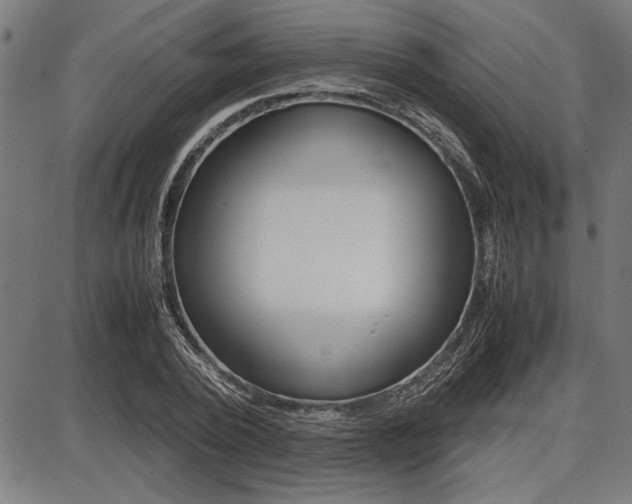 X0000087670784200705040724