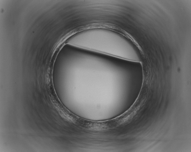 X0000087670786200705040724