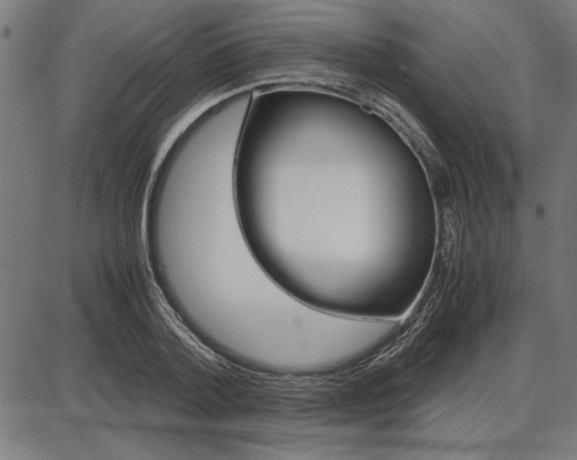 X0000087670788200705040724