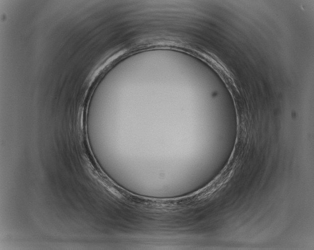 X0000087670790200705040724