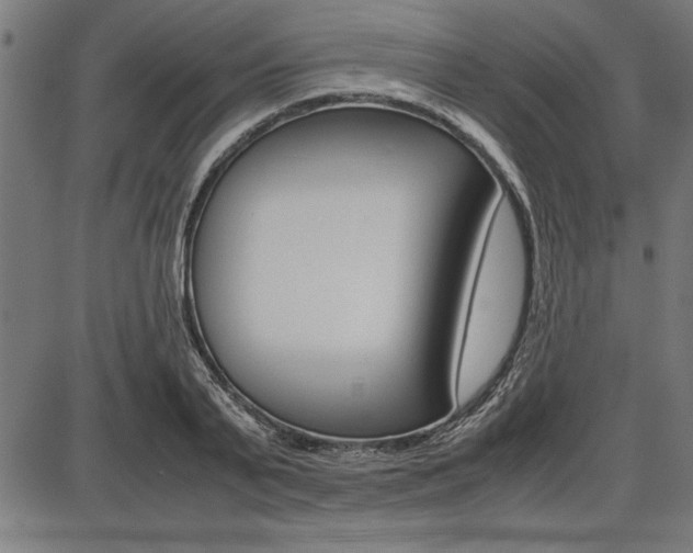 X0000087670791200705040724