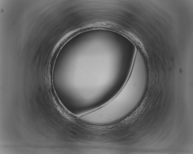 X0000087670792200705040724