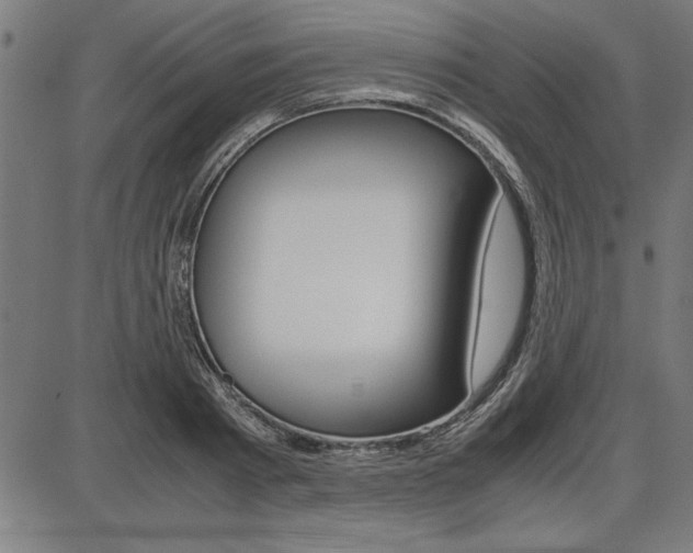 X0000087670793200705040724