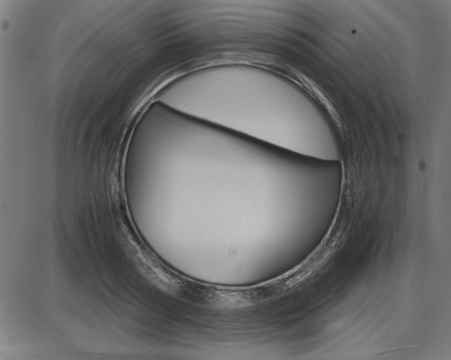 X0000087670794200705040724