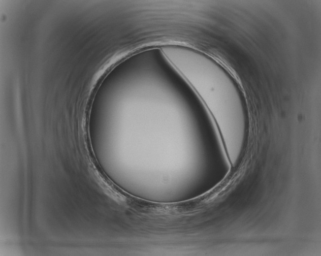X0000087670797200705040724