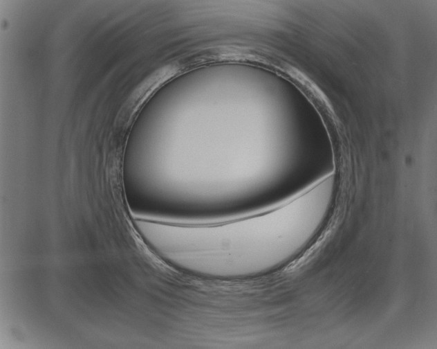 X0000087670801200705040724
