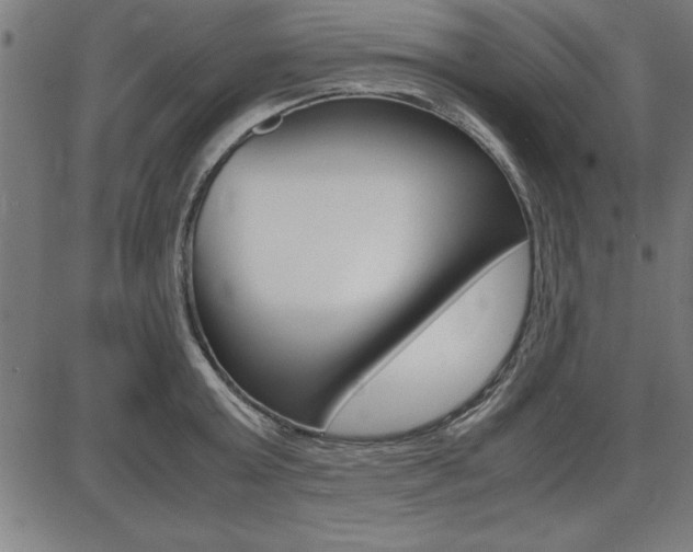 X0000087670803200705040724