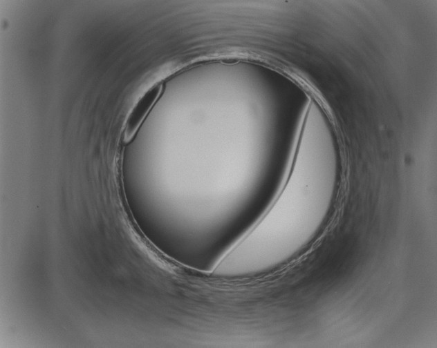 X0000087670805200705040724