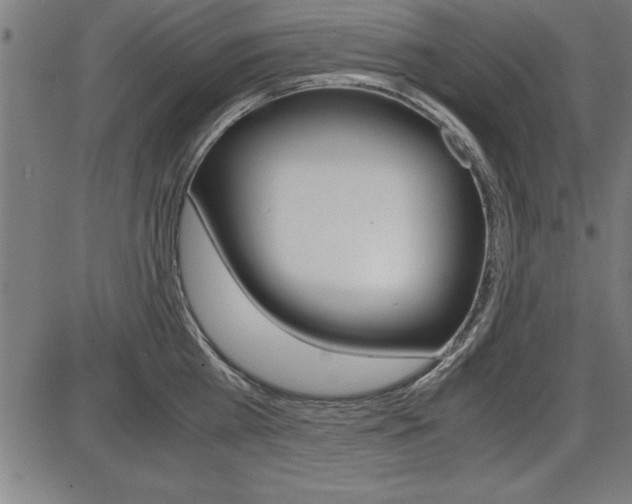 X0000087670809200705040724