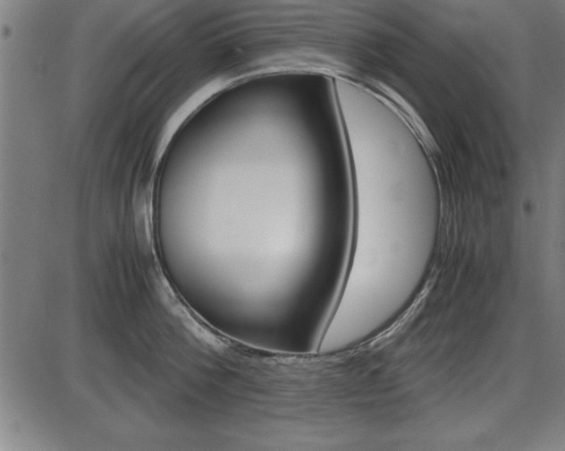 X0000087670812200705040724