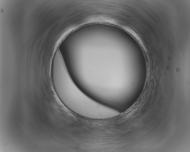 X0000087670815200705040724
