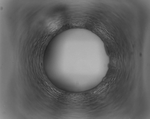 X0000087670817200705040723