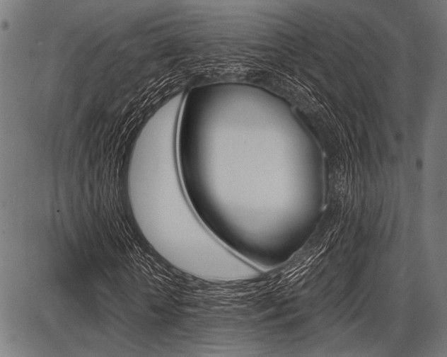 X0000087670818200705040723