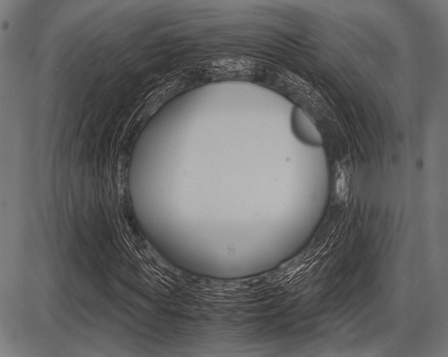 X0000087670819200705040723