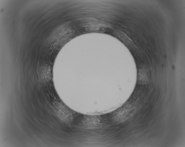 X0000087670820200705040723