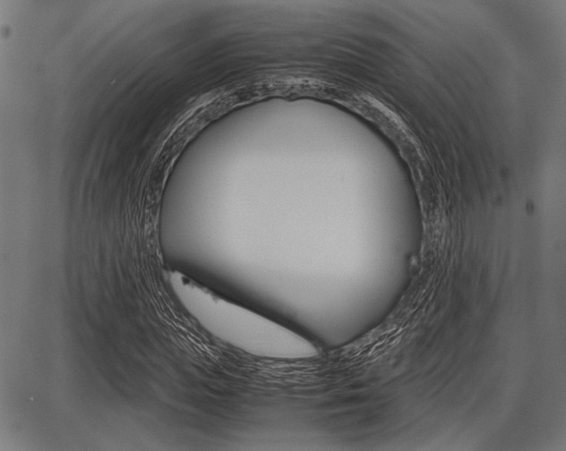 X0000087670823200705040723