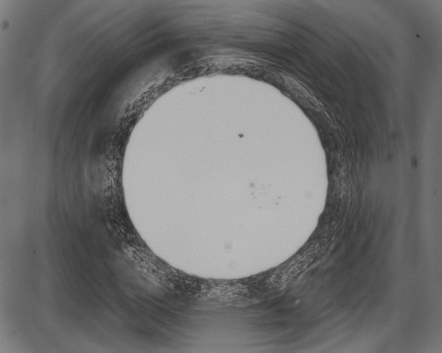 X0000087670824200705040723