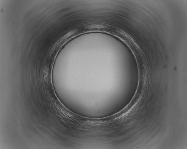 X0000087670825200705040723