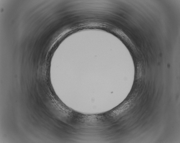 X0000087670828200705040723