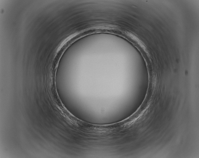 X0000087670829200705040723