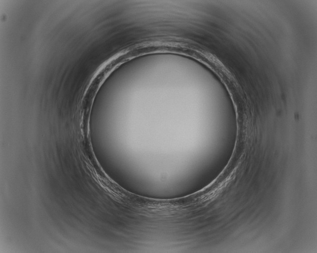 X0000087670830200705040723