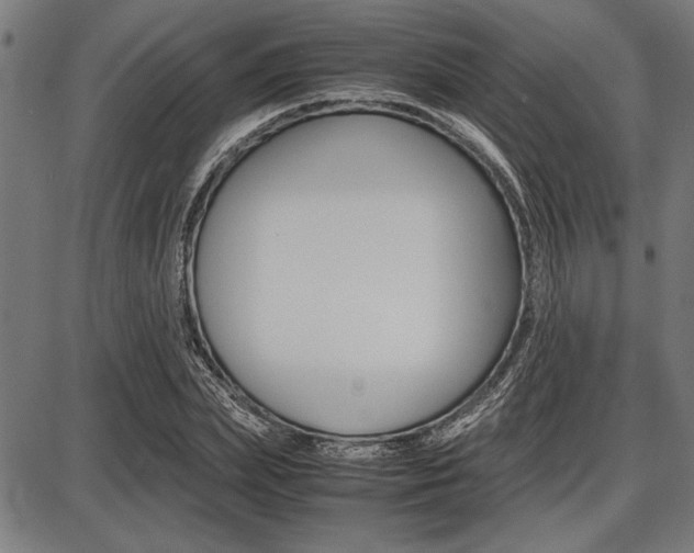 X0000087670831200705040723