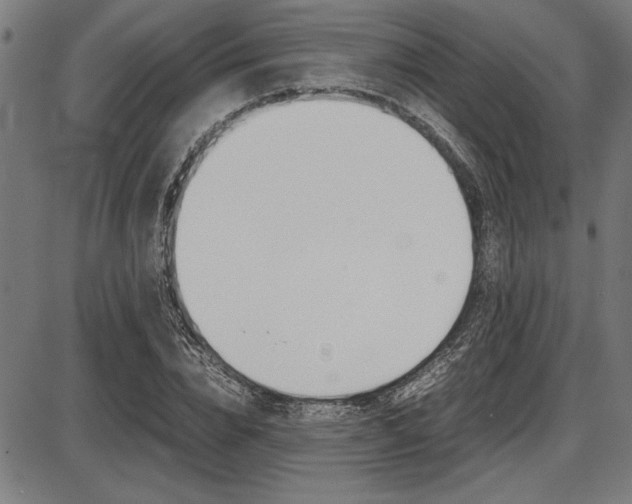 X0000087670832200705040723