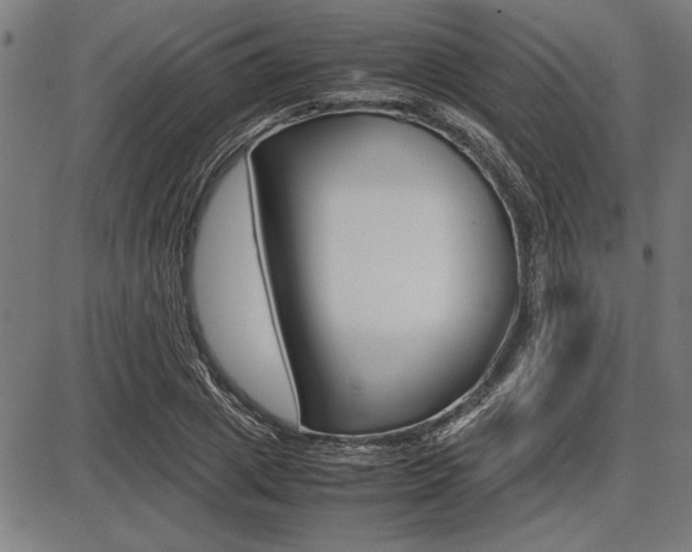 X0000087670833200705040723