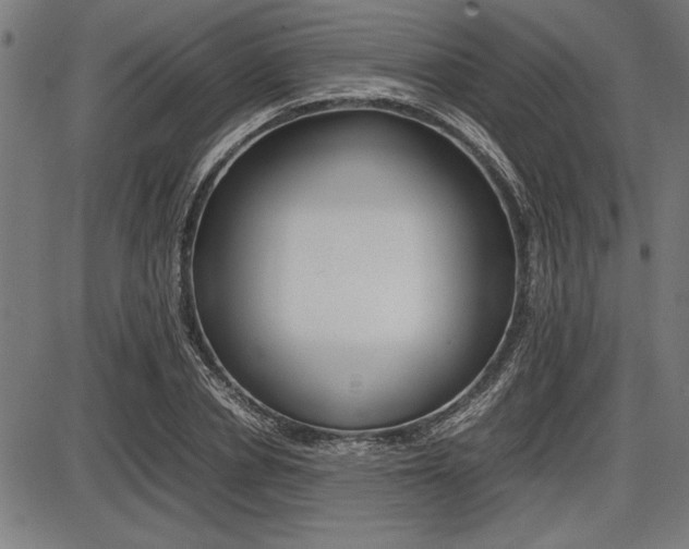 X0000087670834200705040723