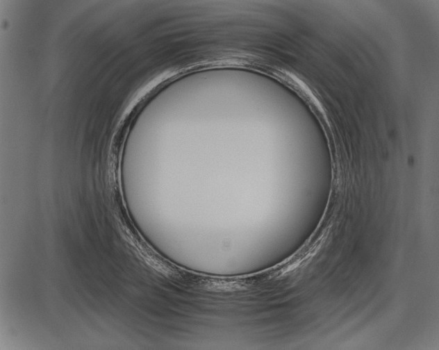 X0000087670835200705040723