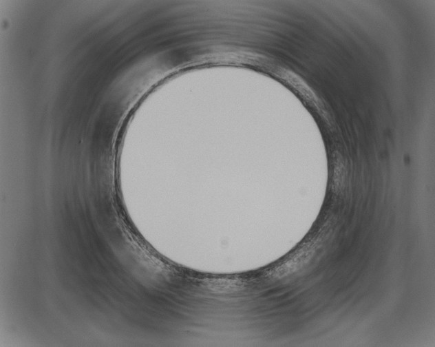 X0000087670836200705040723