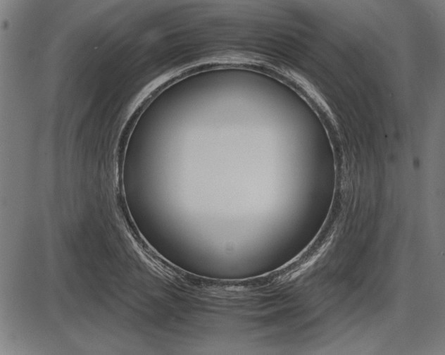 X0000087670837200705040723