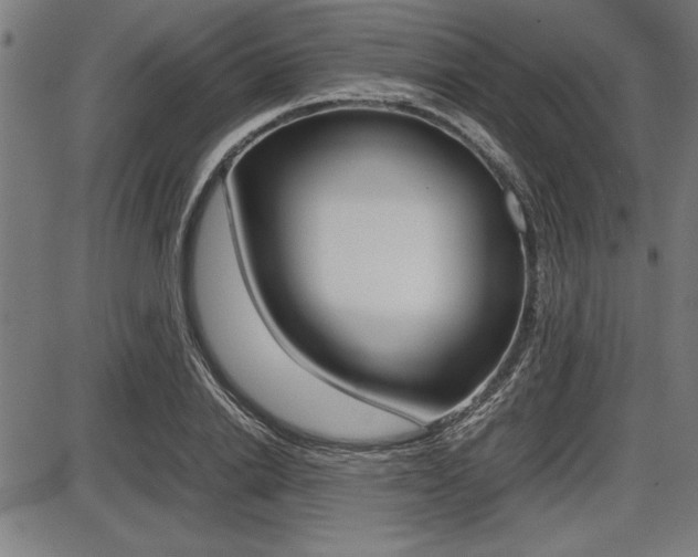 X0000087670838200705040723