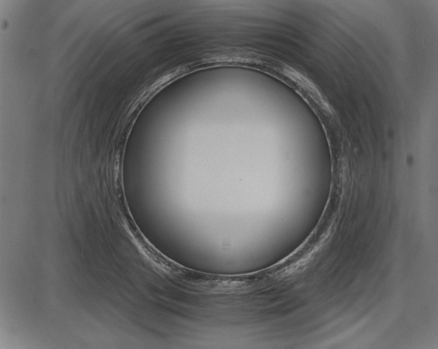 X0000087670841200705040723